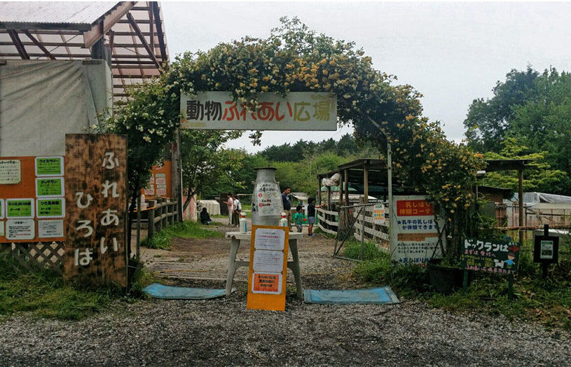 画像4