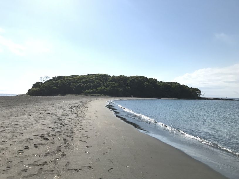 画像1