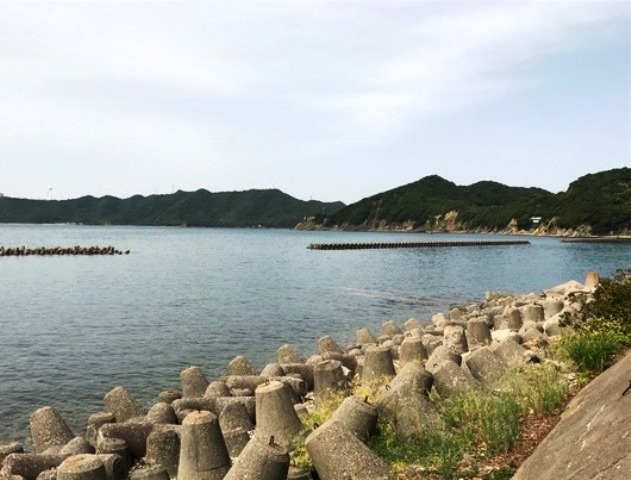 画像1