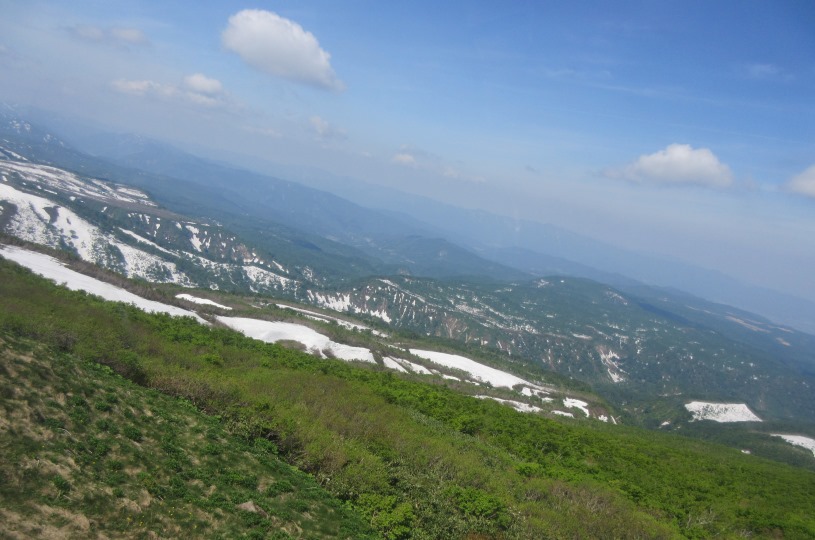 画像5