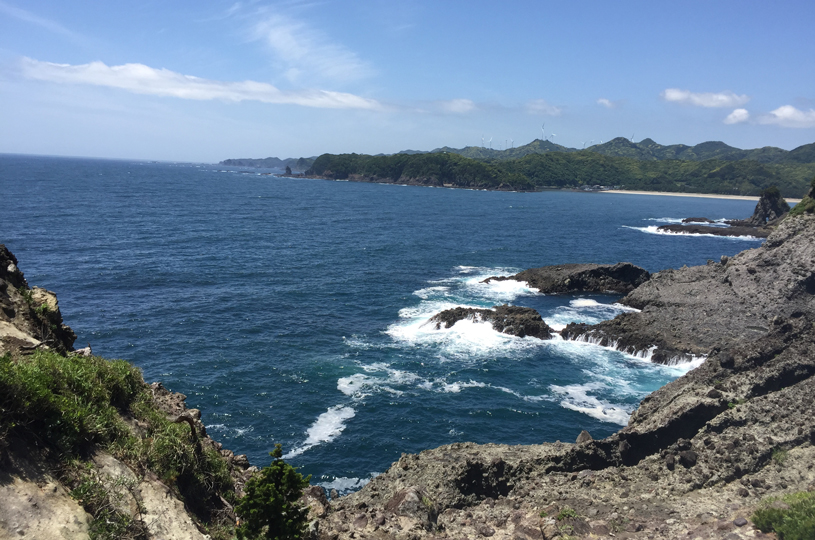 画像1