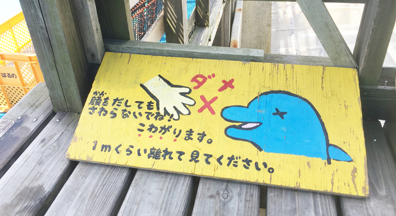 ドルフィンリゾート