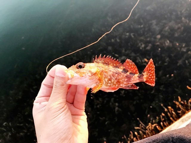 画像3
