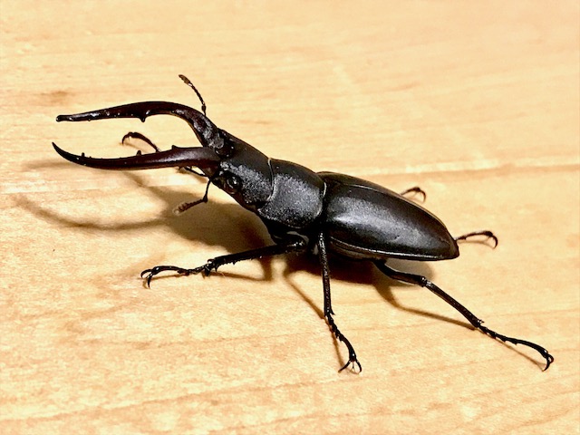 画像2