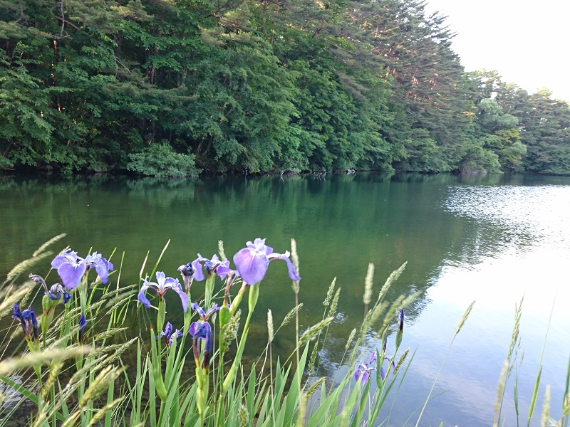 画像2