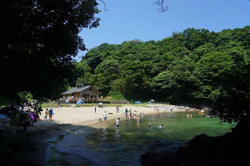 画像1
