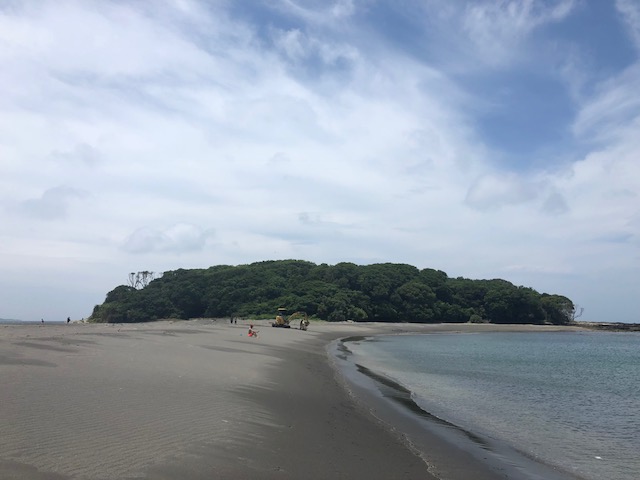 画像1