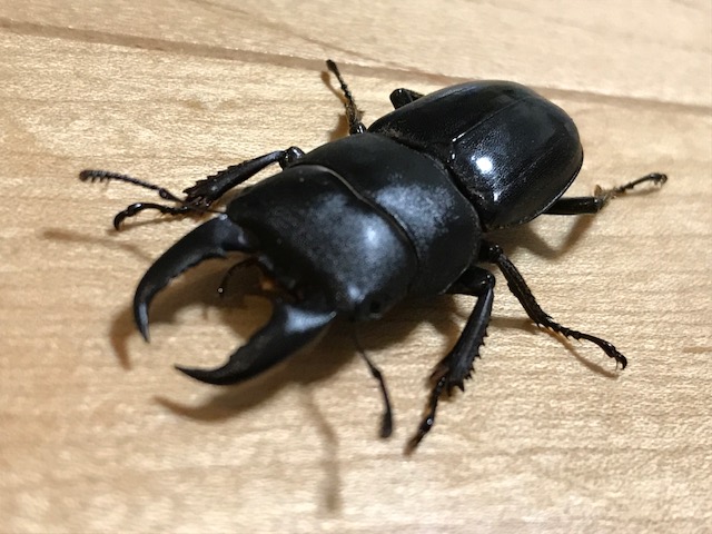 画像2