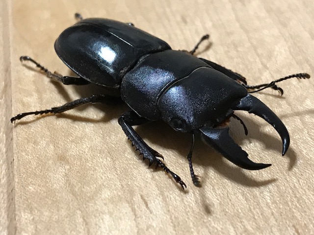 画像3