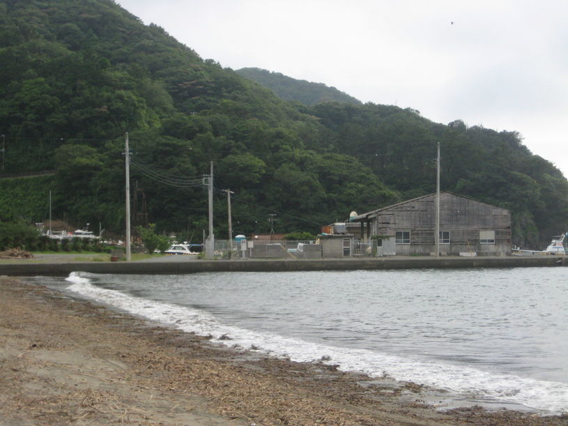画像4