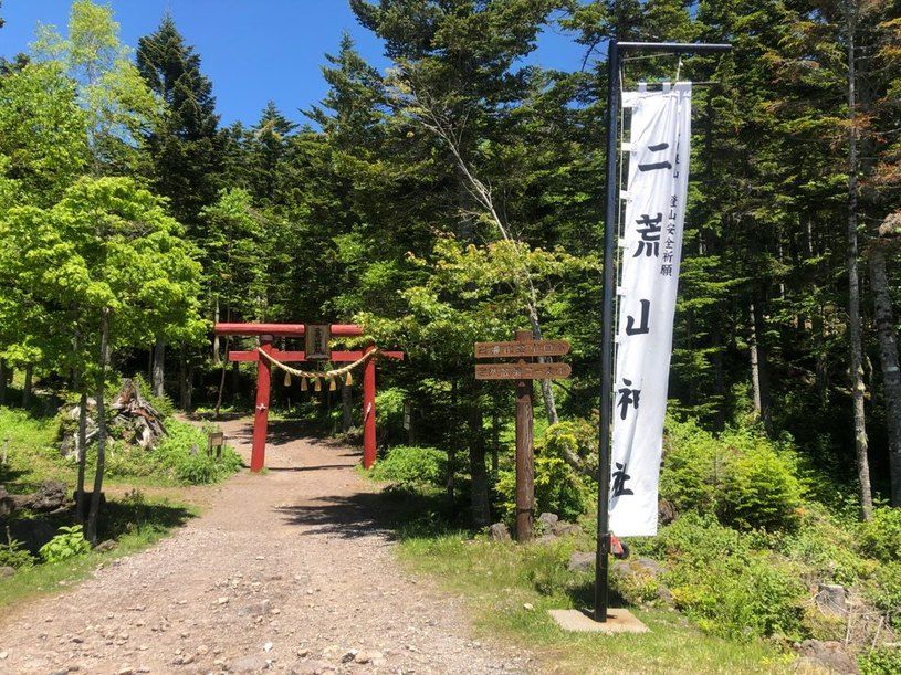 画像1