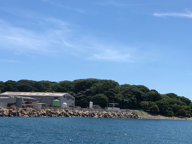 画像2