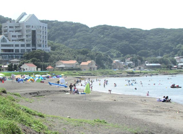 画像1