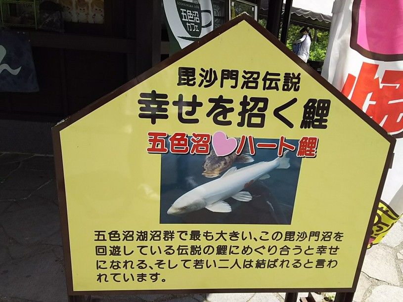 画像5