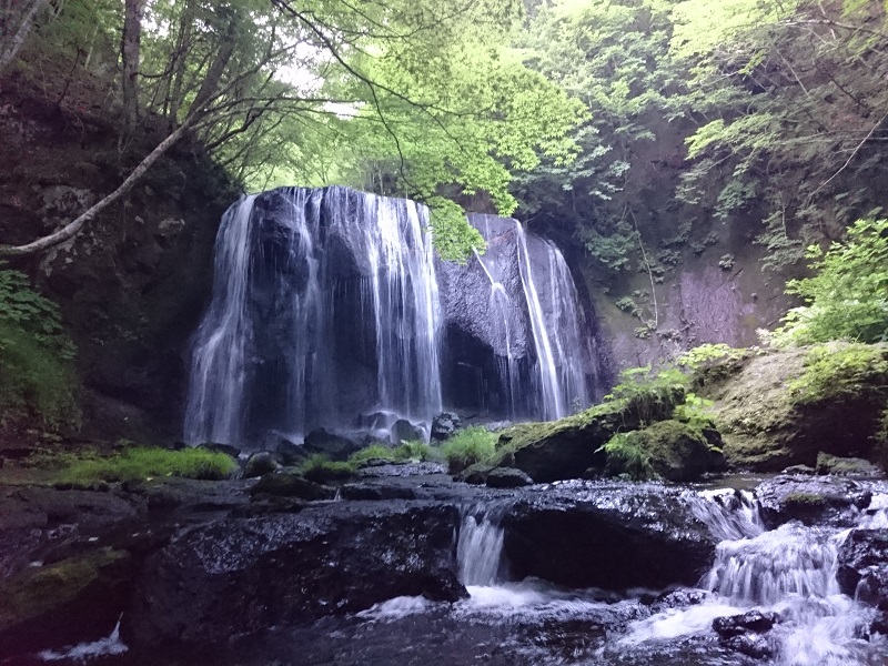 画像4