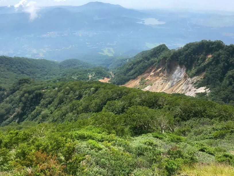 画像4