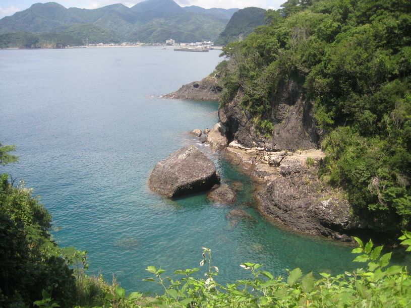 画像4