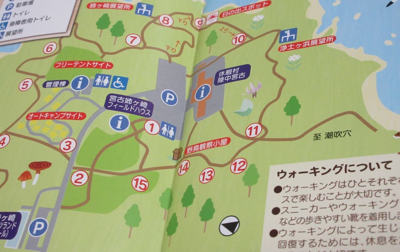 画像2