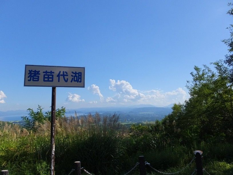 画像4