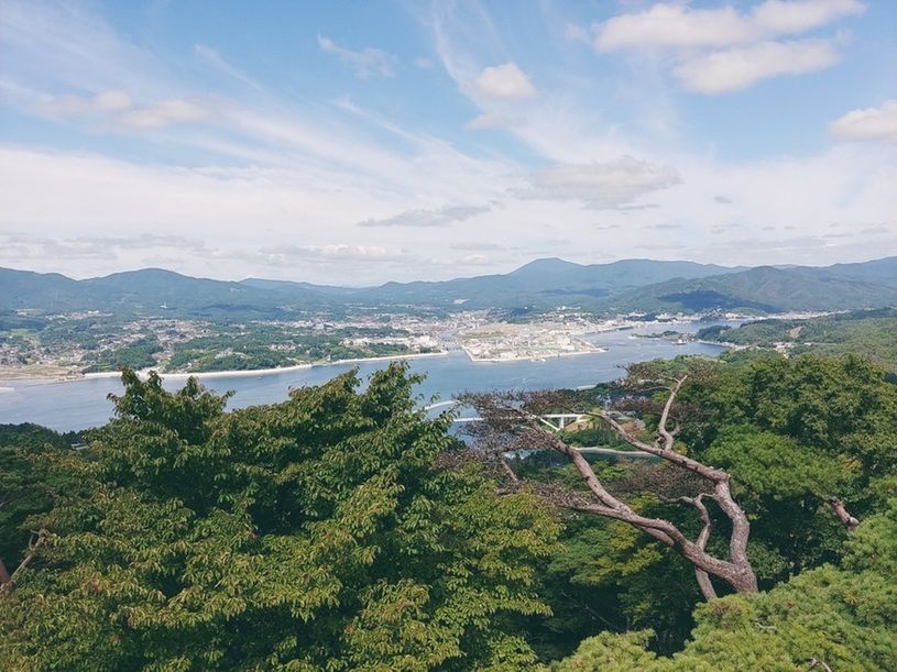 画像1
