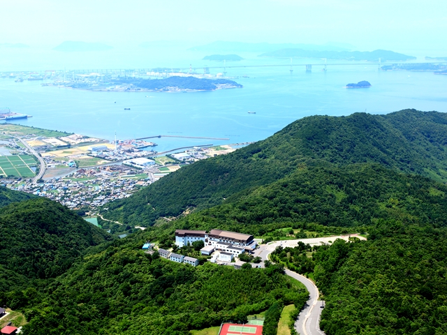 画像5
