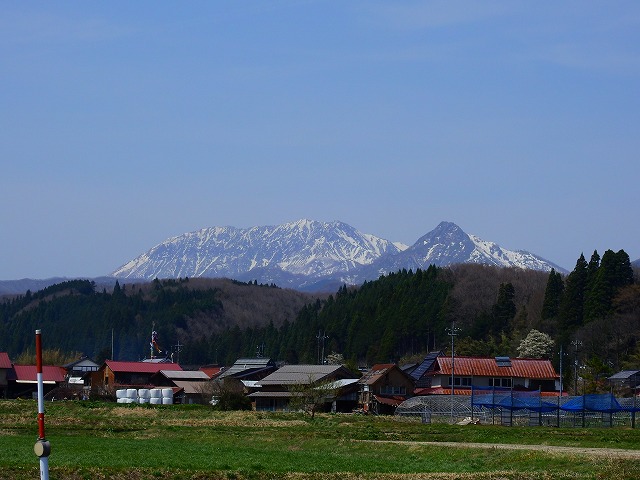 画像4