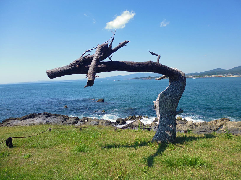 画像1