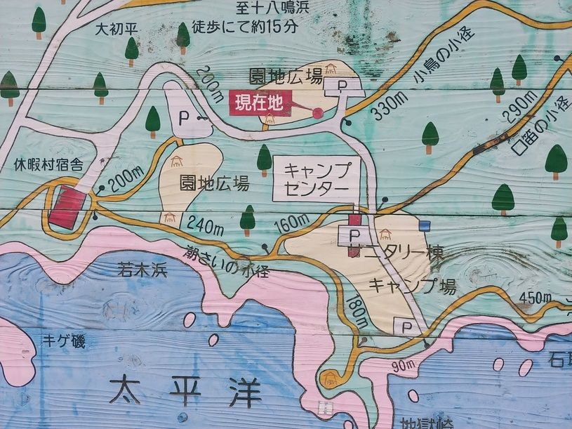 画像4