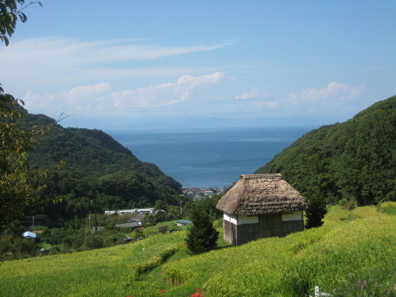 画像4