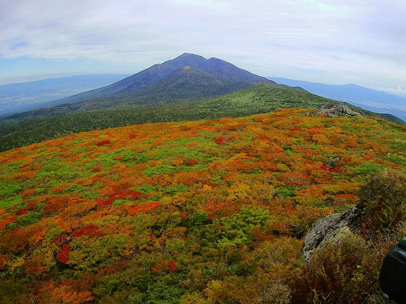 画像1