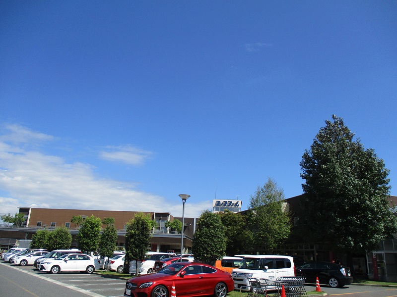画像1