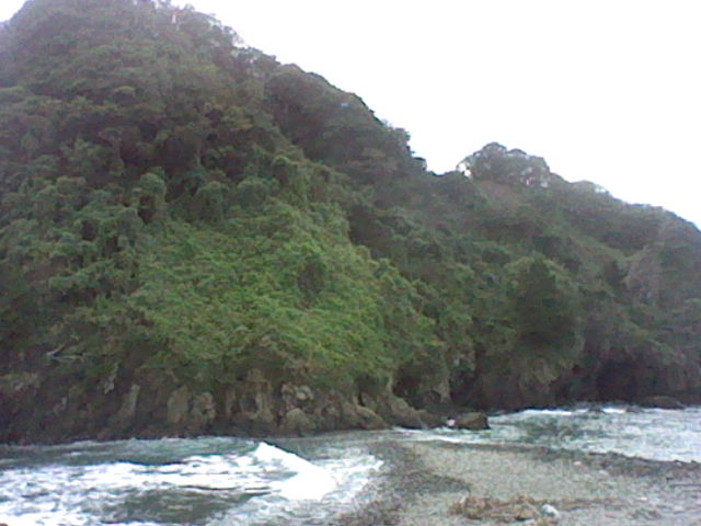 画像2