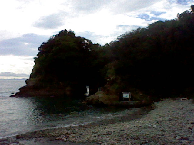 画像4