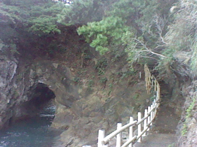 画像5