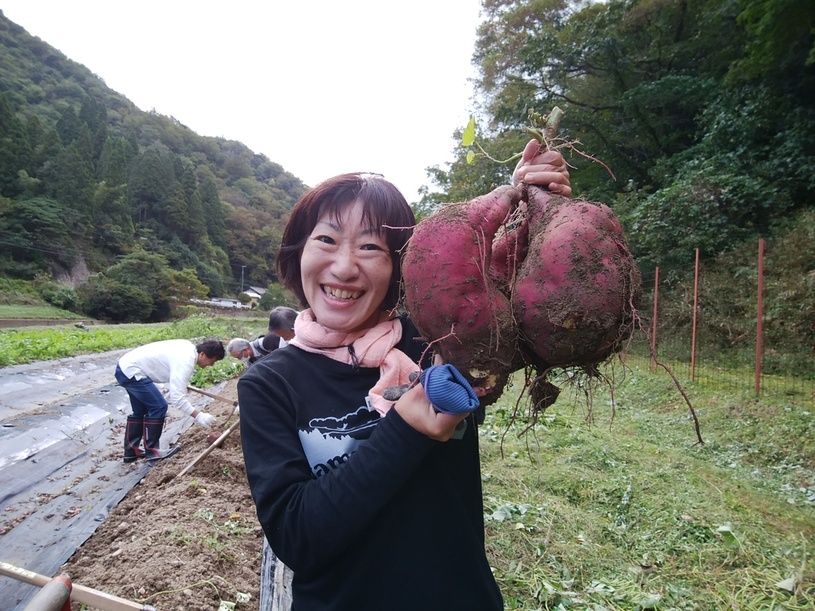 画像1