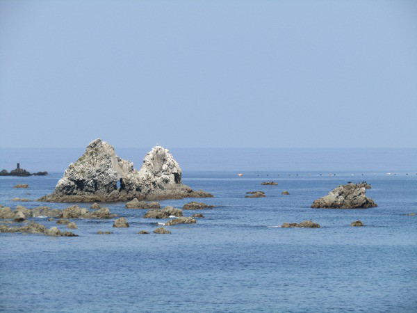 画像1