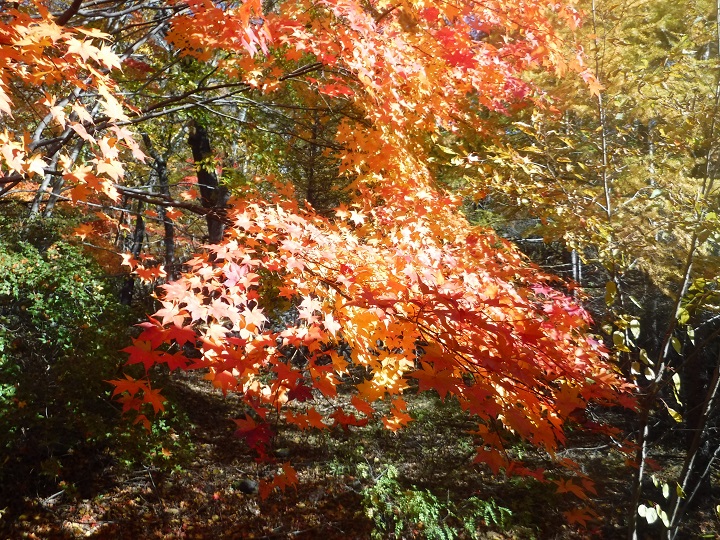 画像2