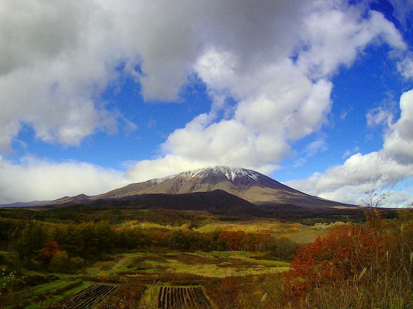 画像1