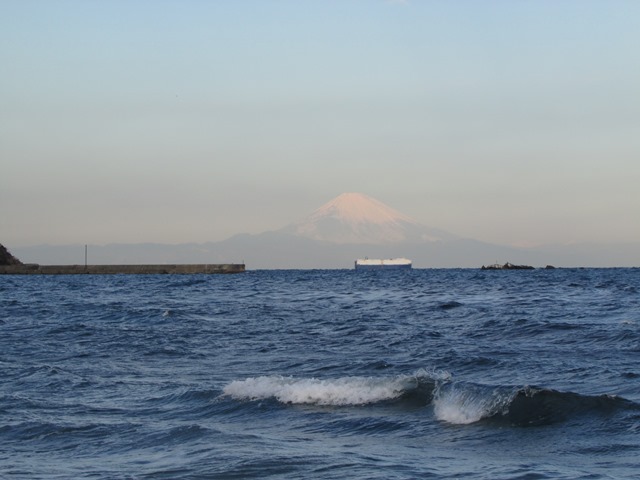 画像4