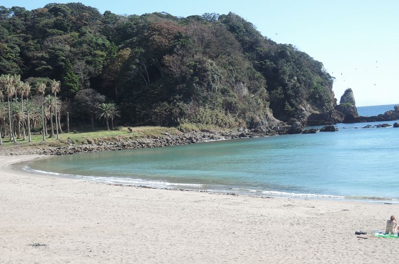 画像1