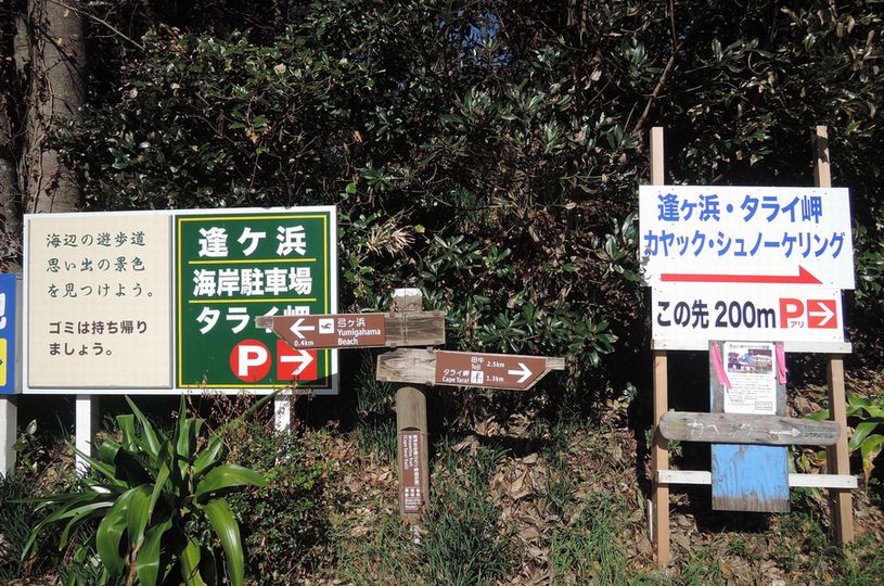 画像1