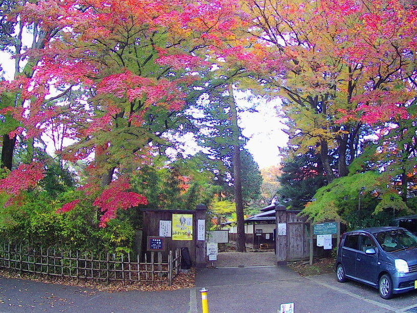 画像3