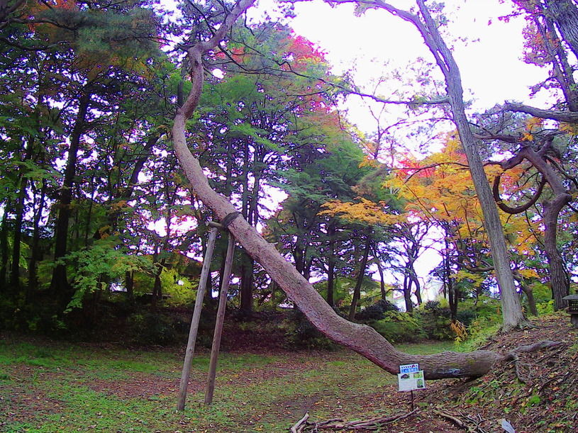 画像5