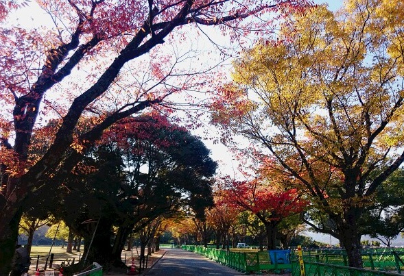 画像1