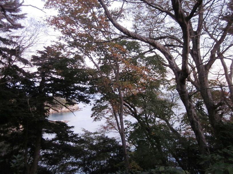 画像3