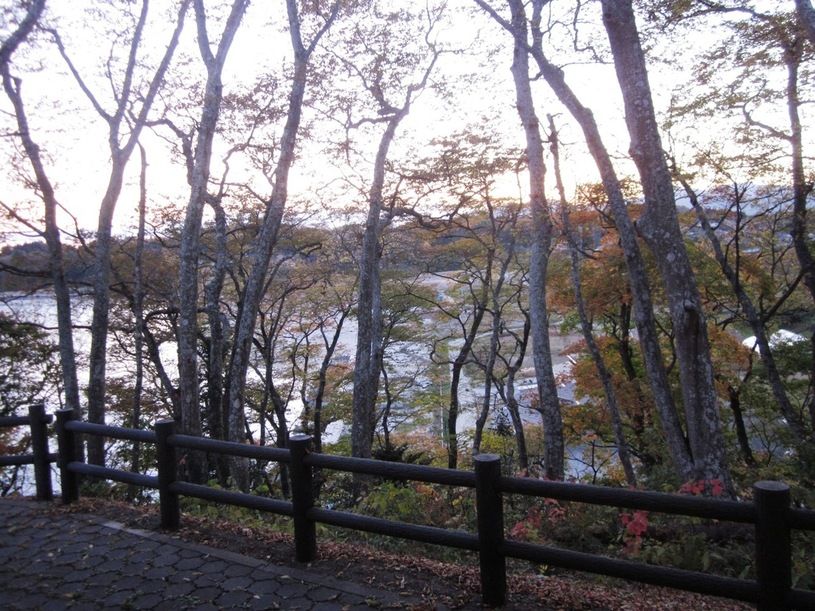 画像5