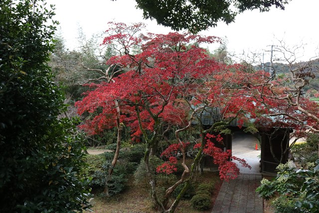 画像5