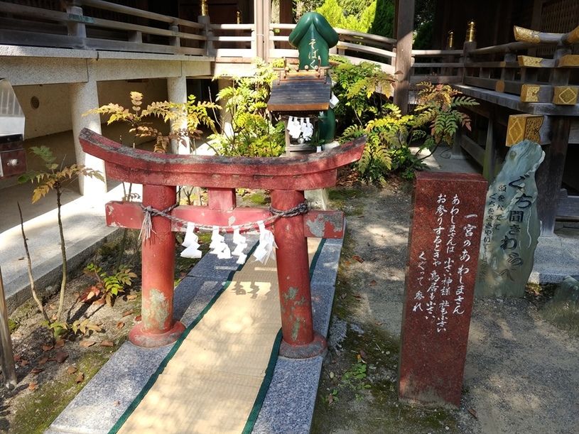 画像4