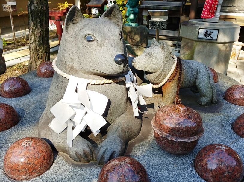画像3