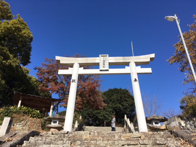 画像1